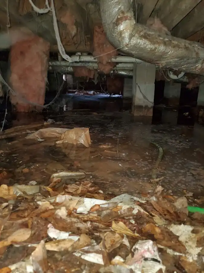 Crawl space flood assessment for Commercial Water Damage Restoration in White Oak